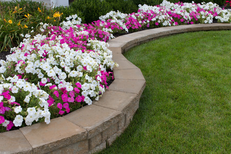 one foot tall stone ledge surrounding a flower bed 